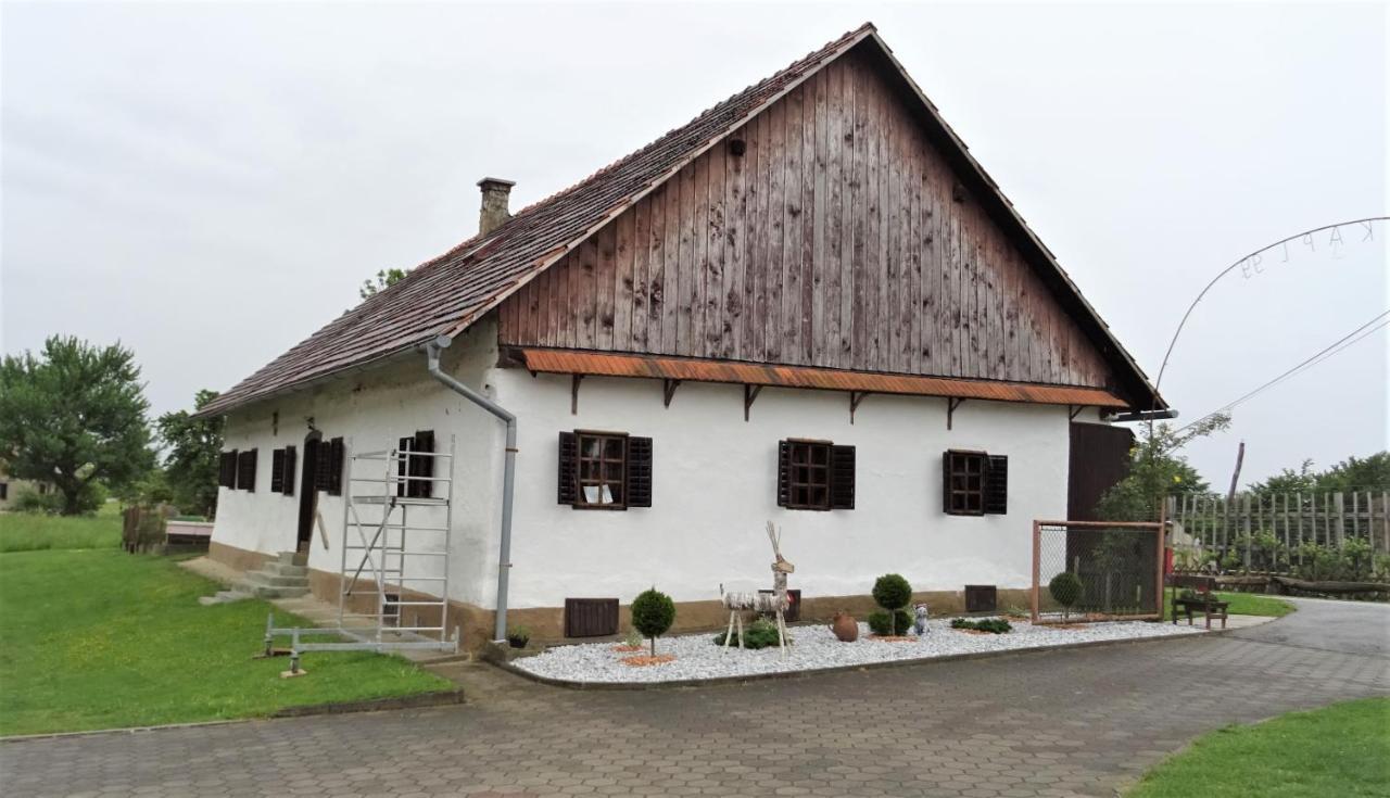 Homestay Kapl Ledinek Exterior foto