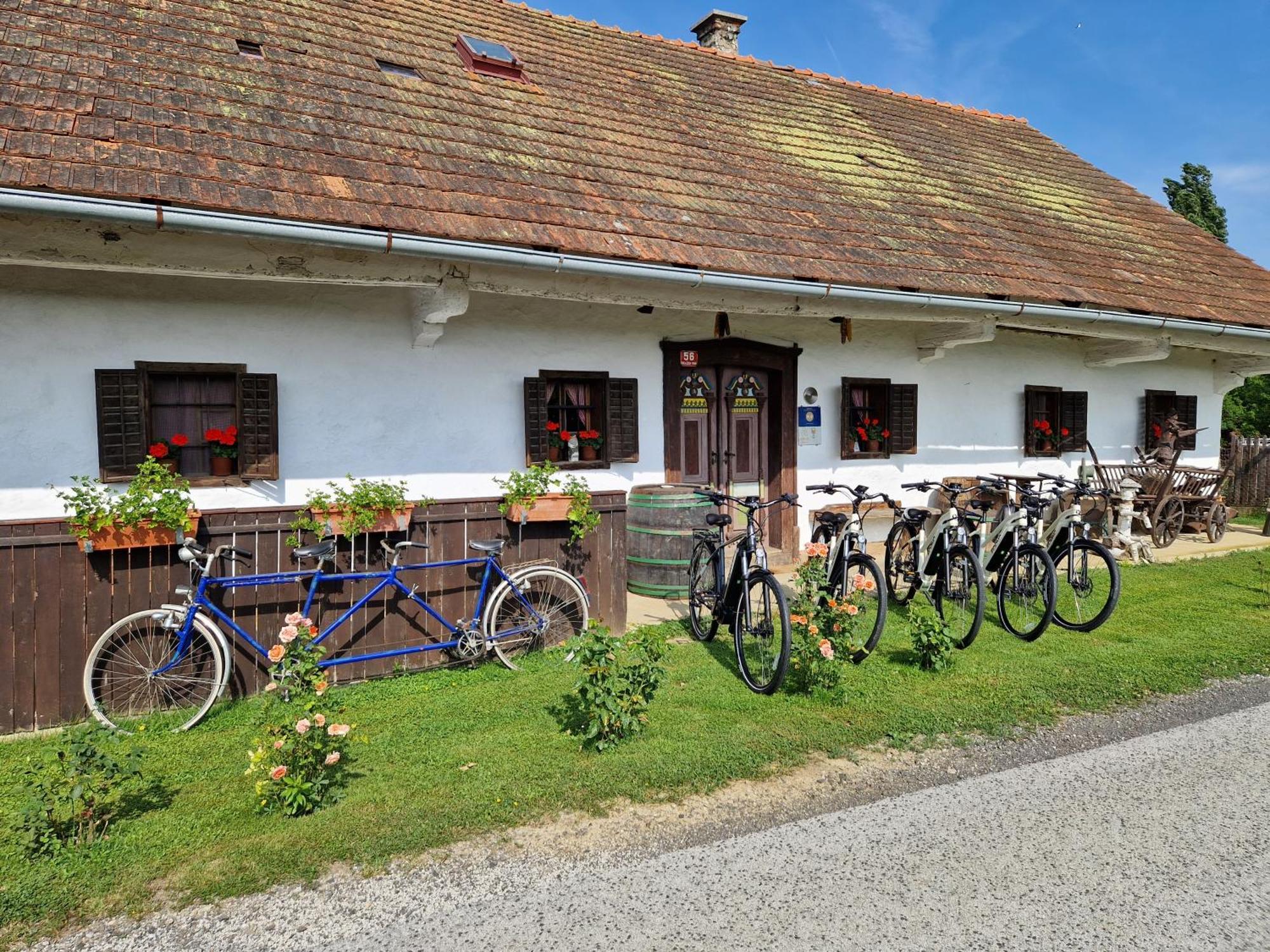 Homestay Kapl Ledinek Exterior foto