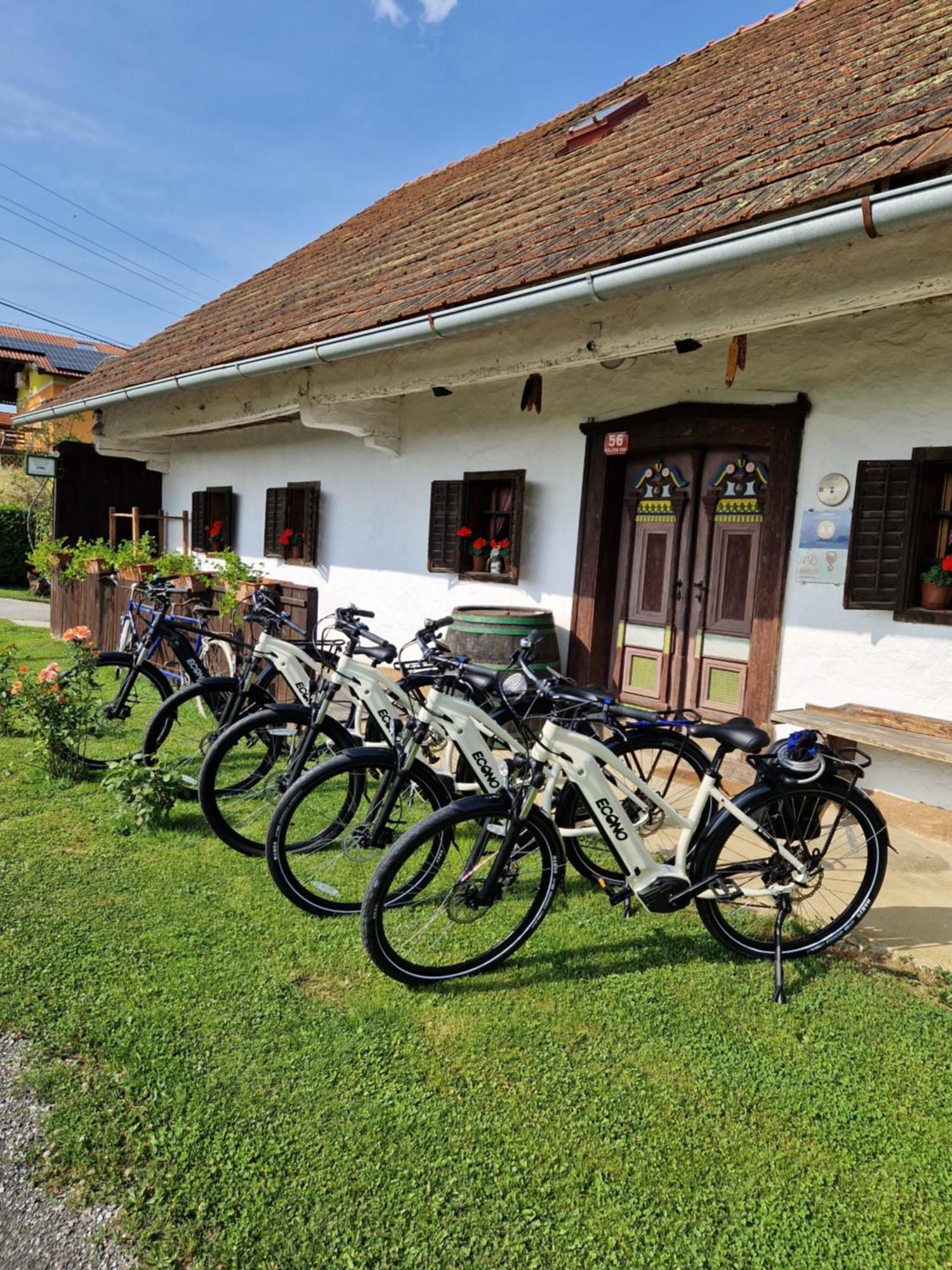 Homestay Kapl Ledinek Exterior foto