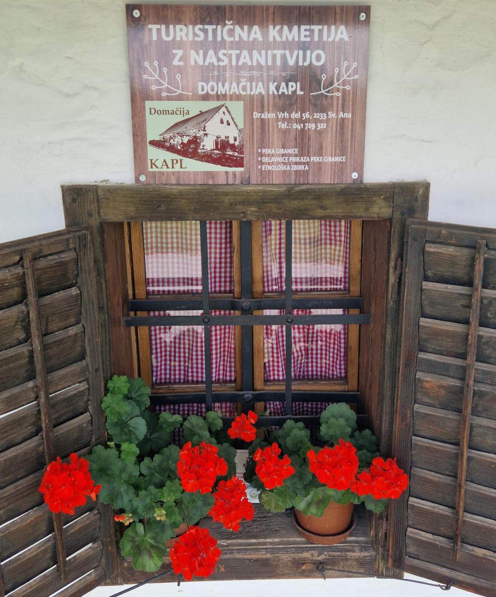 Homestay Kapl Ledinek Exterior foto