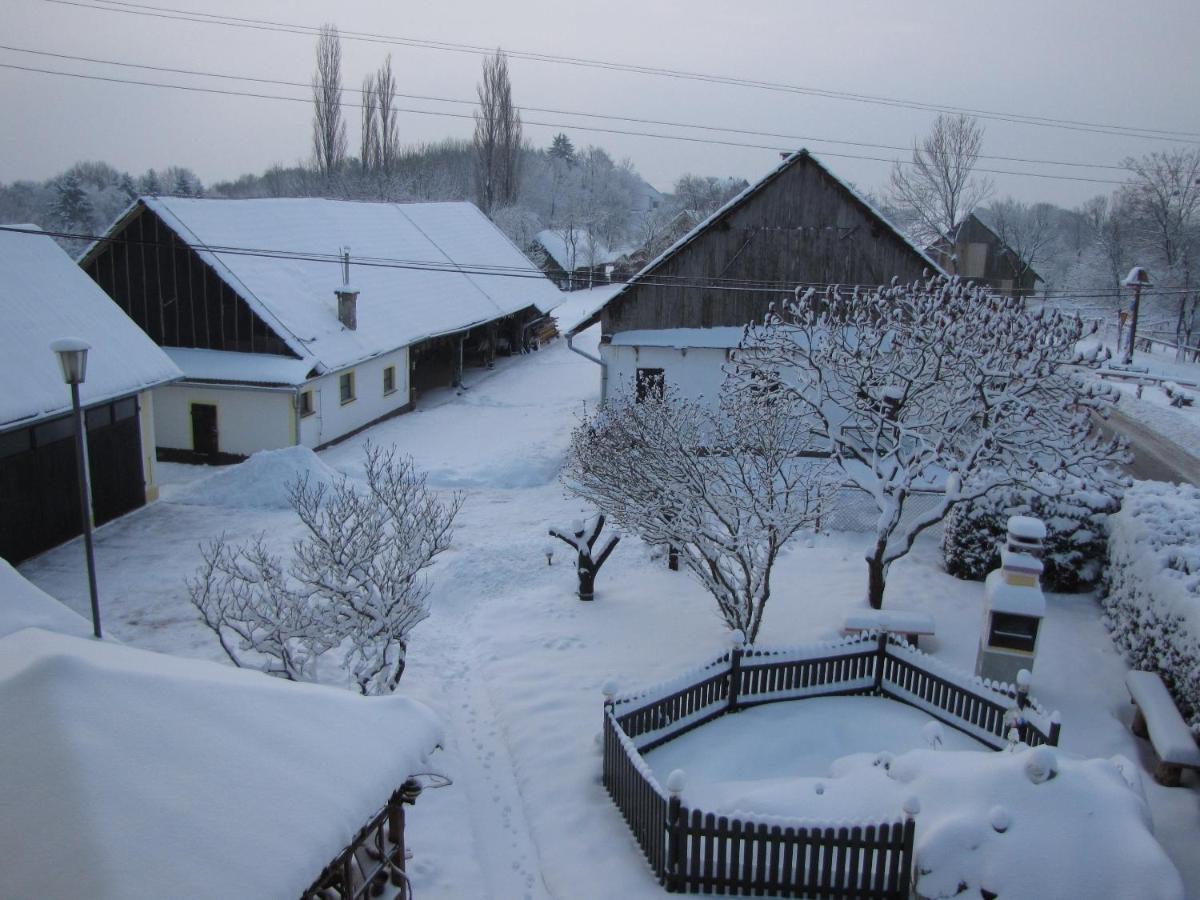 Homestay Kapl Ledinek Exterior foto